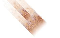 2015 3 07 Dark Days 036-white.jpg